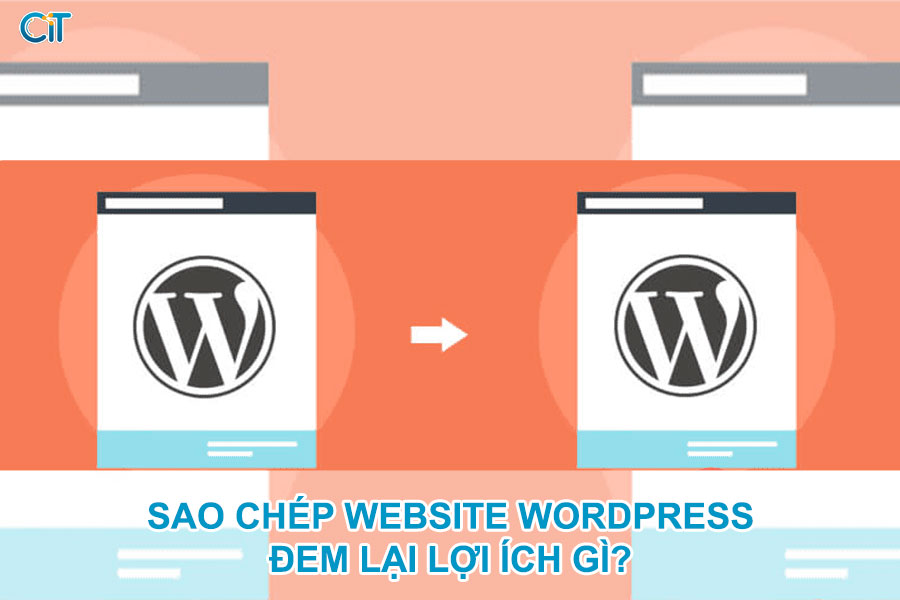 sao-chep-website-wordpress-dem-lai-loi-ich-gi