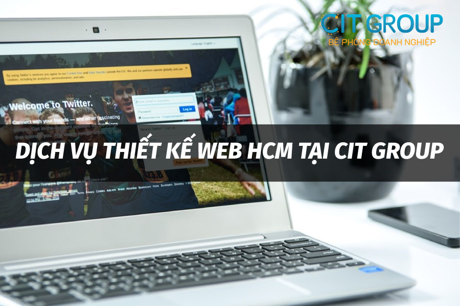 thiet-ke-web-tai-hcm
