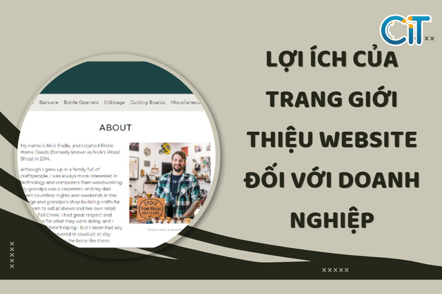 loi-ich-cua-trang-gioi-thieu-website