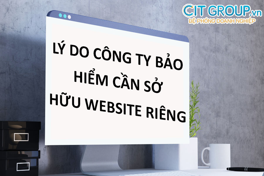 ly-do-cong-ty-bao-hiem-can-den-website-rieng