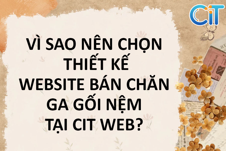 tai-sao-nen-chon-thiet-ke-website-ban-chan-ga-goi-nem-tai-cit-web
