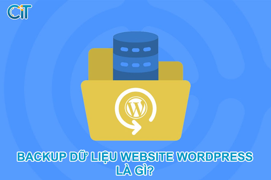 backup-du-lieu-website-wordpress-la-gi