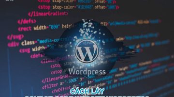 cach-lay-source-code-website-wordpress