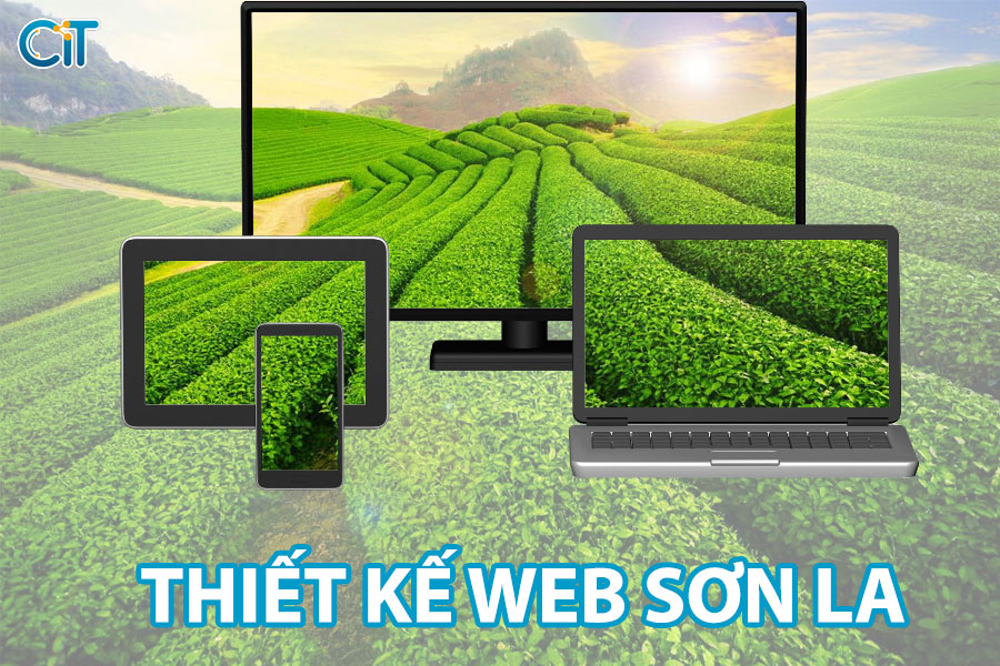 thiet-ke-web-son-la